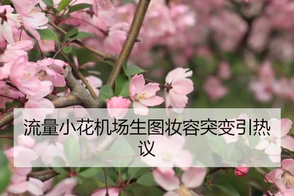 流量小花机场生图妆容突变引热议