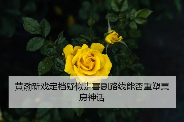 huang-bo-xin-xi-ding-dang-yi-si-zou-xi-ju-lu-xian-neng-fou-zhong-su-piao-fang-shen-hua-2-329.jpg