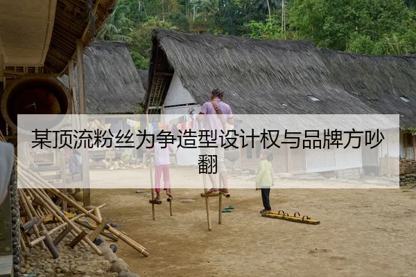 某顶流粉丝为争造型设计权与品牌方吵翻